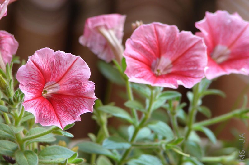 �������