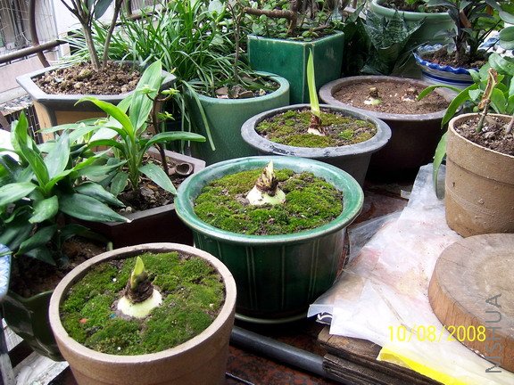 ��Ƭ 1161(576).jpg