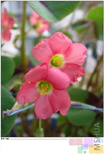 ��ʮ��Խ��Խ���ˣ�����֣��ǲ��ǿ������ˣ�