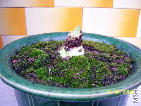 ��Ƭ 1098(576).jpg