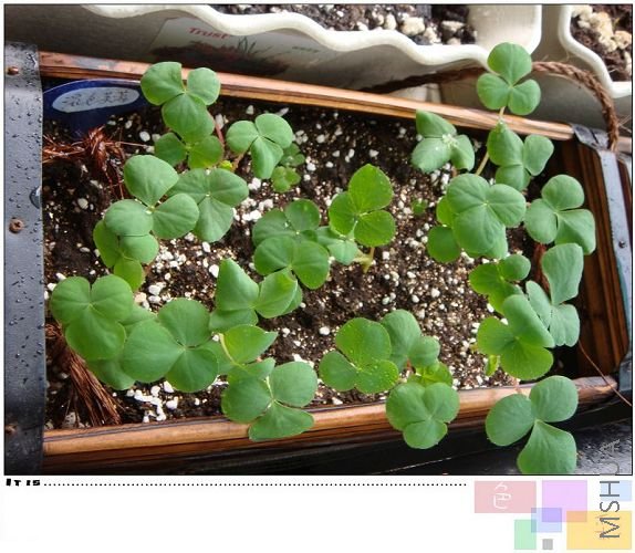 �����һ����ܽ�أ����ñȹ�˾��