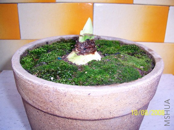 ��Ƭ 1107(576).jpg