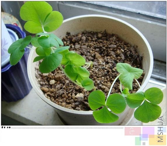 ��˾���ֵ�ܽ������һ�������Ŀ�