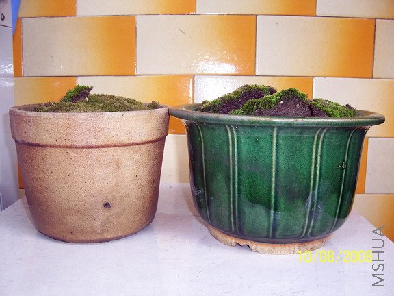 ��Ƭ 1043(576).jpg