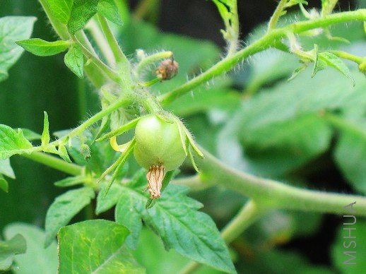 BigBull_nEO_IMG_��Ƭ 117.jpg