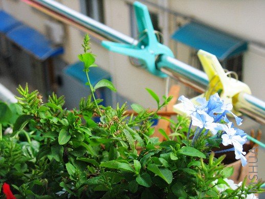 BigBull_nEO_IMG_��Ƭ 099.jpg