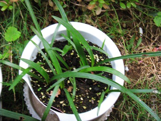 BigBull_nEO_IMG_��Ƭ 108.jpg