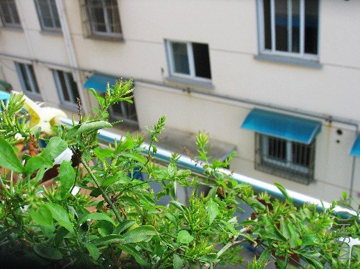 BigBull_nEO_IMG_��Ƭ 098.jpg