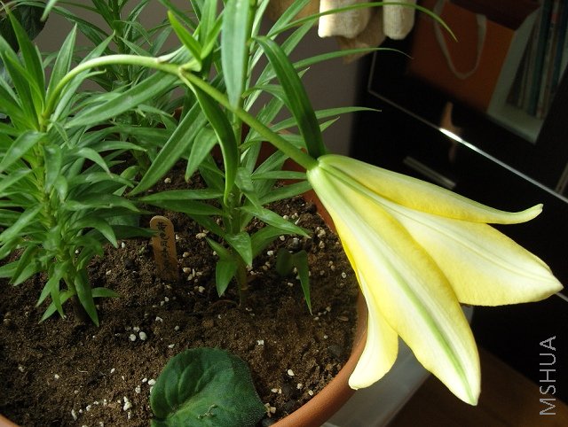 ����̫���ˣ��������͵���