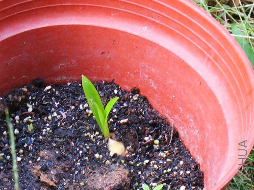 BigBull_nEO_IMG_��Ƭ 121.jpg