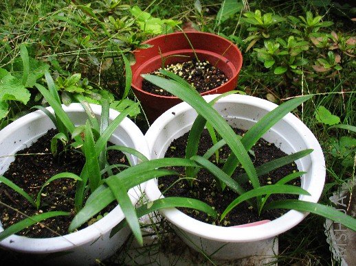 BigBull_nEO_IMG_��Ƭ 107.jpg