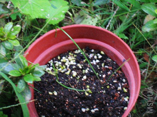 BigBull_nEO_IMG_��Ƭ 110.jpg