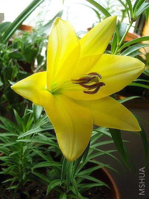 ���ʱ���ǰ뿪״̬