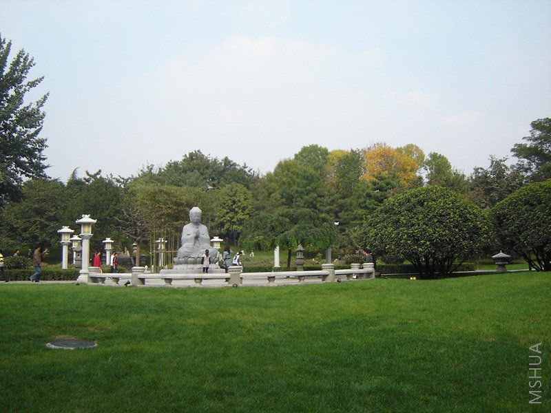 DSC04665.JPG