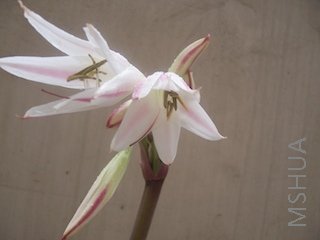 100_3922.jpg