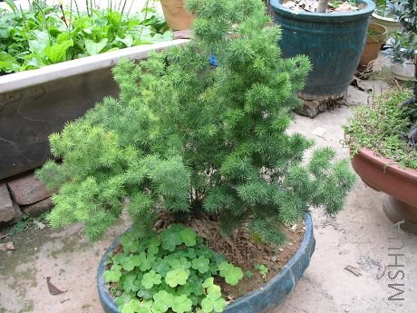 ��Ƭ 037.jpg