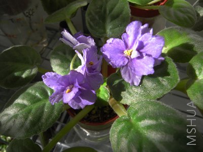 RIMG0028.JPG