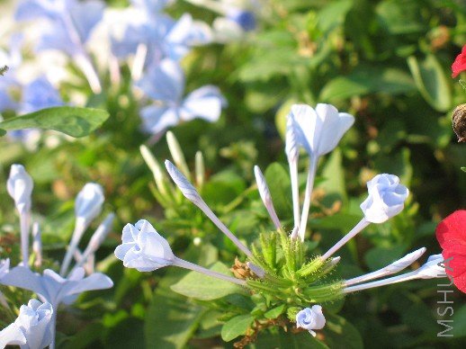 BigBull_��Ƭ 028.jpg