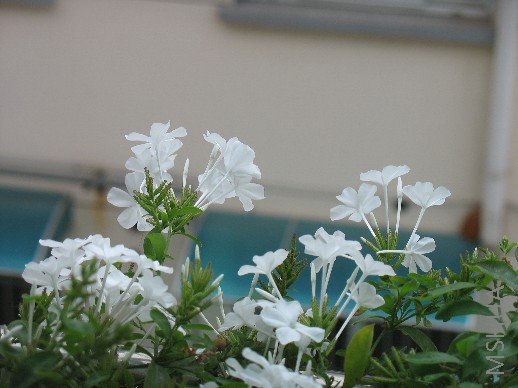 BigBull_��Ƭ 012.jpg