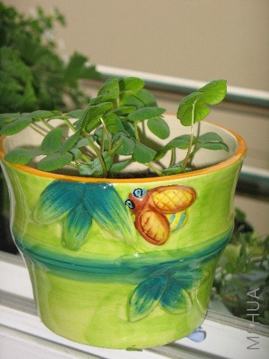 BigBull_��Ƭ 021.jpg