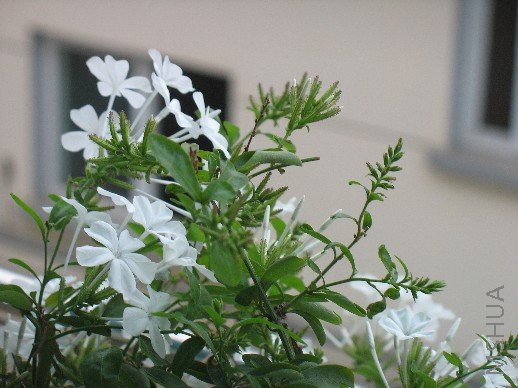 BigBull_��Ƭ 019.jpg