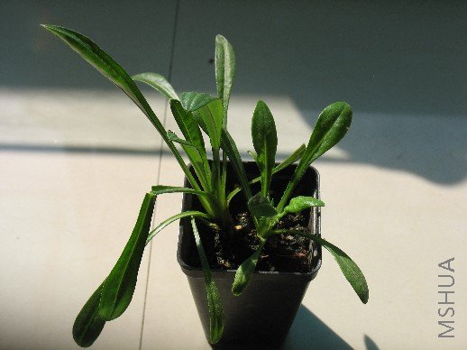 BigBull_��Ƭ 023.jpg