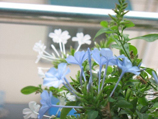 BigBull_��Ƭ 018.jpg