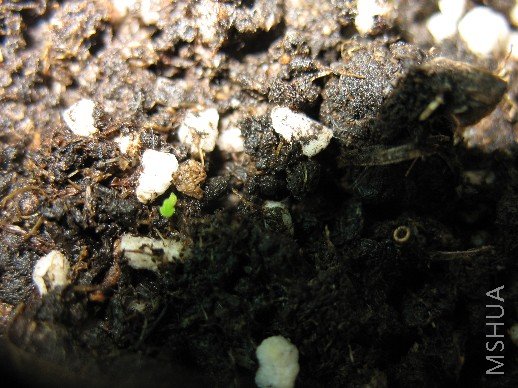 BigBull_��Ƭ 044.jpg