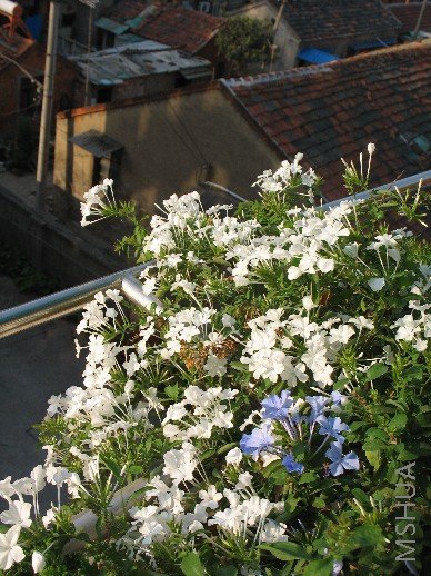 BigBull_��Ƭ 024.jpg