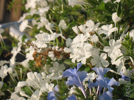 BigBull_��Ƭ 029.jpg