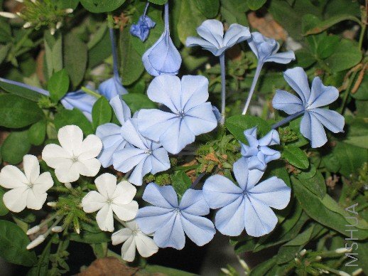 BigBull_��Ƭ 010.jpg