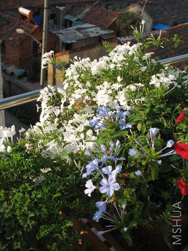 BigBull_��Ƭ 025.jpg