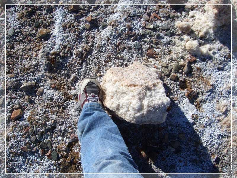 ����ι��ƹ��ҳ�10��������