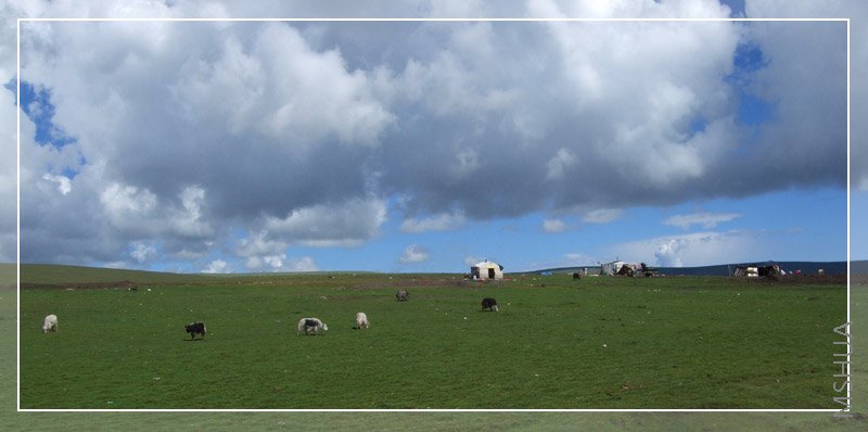 Ư���ĸ�ɽ����