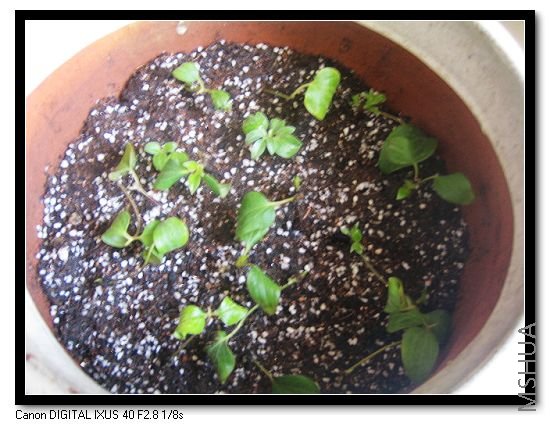 ��Ƭ 007_nEO_IMG.jpg