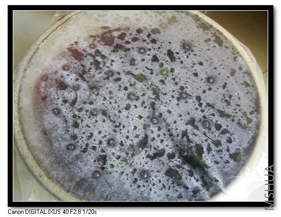 ��Ƭ 006_nEO_IMG.jpg