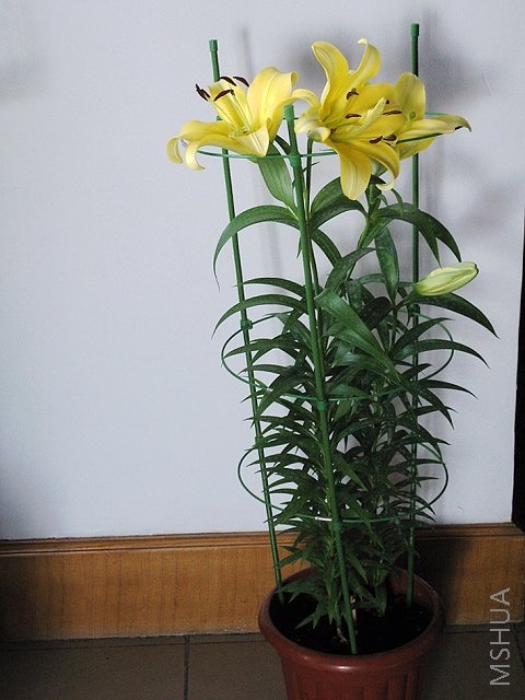 ���費�ü���ͤͤ�����Ŀ����˶��ϧ��