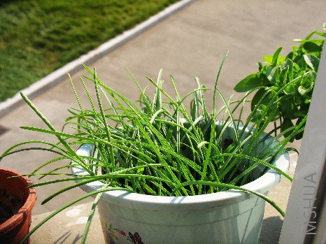 BigBull_nEO_IMG_��Ƭ 027.jpg