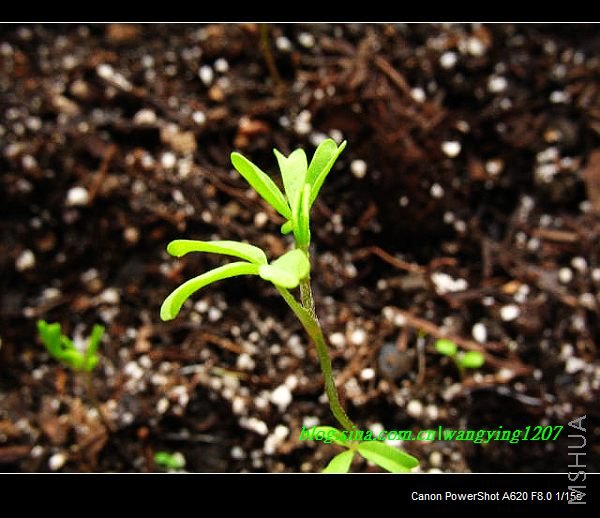 nEO_IMG_������10��16 048.jpg