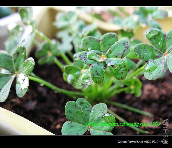 nEO_IMG_������10��16 002.jpg