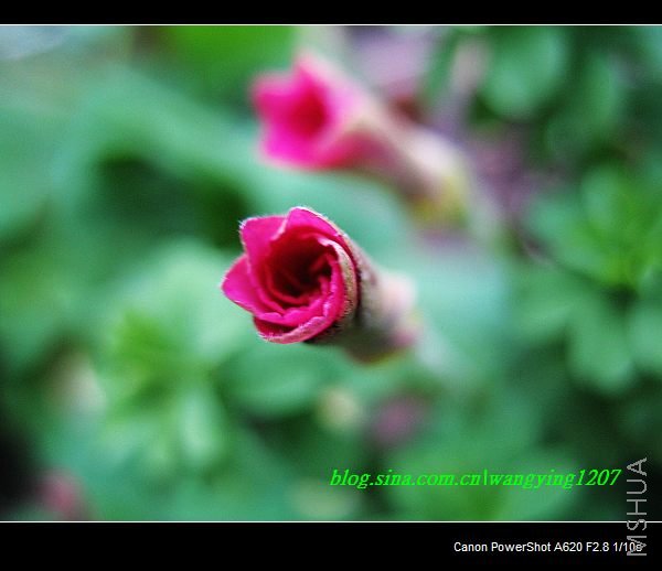 nEO_IMG_������10��16 006.jpg