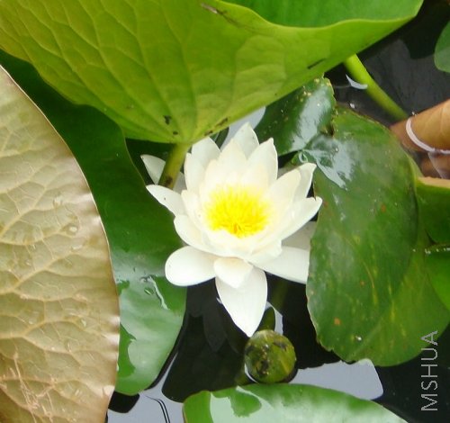 08����� (3).JPG