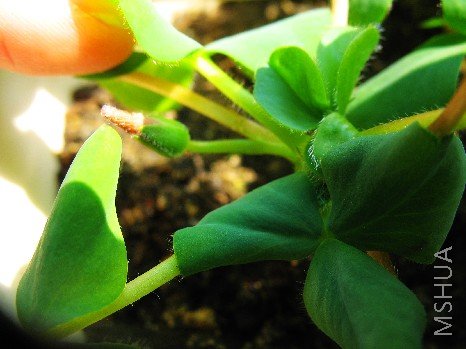 BigBull_nEO_IMG_��Ƭ 003.jpg