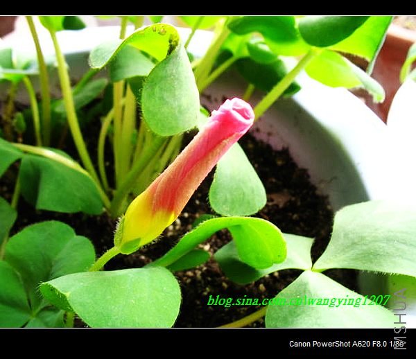 nEO_IMG_������10��16 053.jpg