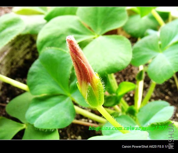 nEO_IMG_������10��16 052.jpg