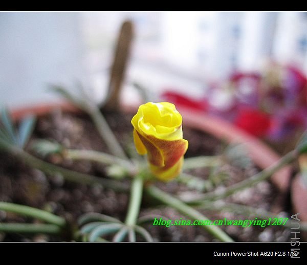 nEO_IMG_������10��16 016.jpg