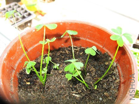 BigBull_nEO_IMG_��Ƭ 010.jpg