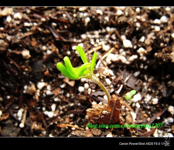 nEO_IMG_������10��16 049.jpg