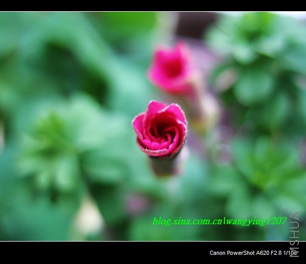 nEO_IMG_������10��16 004.jpg