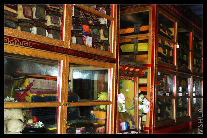 ������͸����